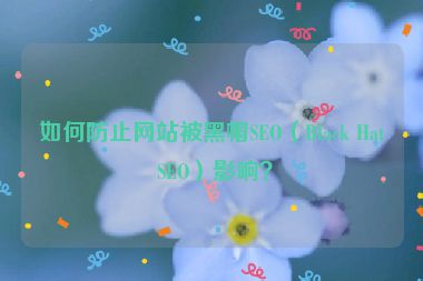 如何防止網(wǎng)站被黑帽SEO（Black Hat SEO）影響？