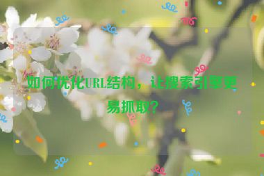 如何優(yōu)化URL結(jié)構(gòu)，讓搜索引擎更易抓??？