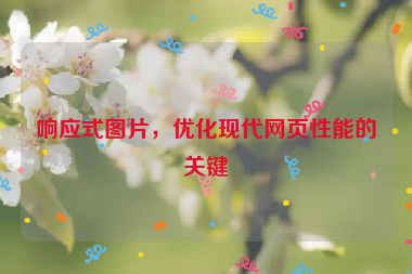 響應(yīng)式圖片，優(yōu)化現(xiàn)代網(wǎng)頁(yè)性能的關(guān)鍵