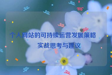 個(gè)人網(wǎng)站的可持續(xù)運(yùn)營發(fā)展策略，實(shí)戰(zhàn)思考與建議