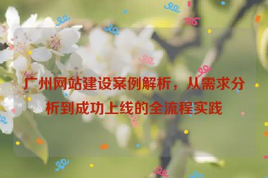 廣州網(wǎng)站建設(shè)案例解析，從需求分析到成功上線的全流程實(shí)踐