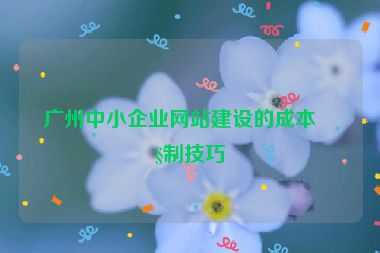 廣州中小企業(yè)網(wǎng)站建設(shè)的成本控制技巧
