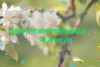 面向新興市場(chǎng)的外貿(mào)網(wǎng)站建設(shè)趨勢(shì)，機(jī)遇與挑戰(zhàn)