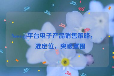 Newegg平臺電子產(chǎn)品銷售策略，精準(zhǔn)定位，突破重圍
