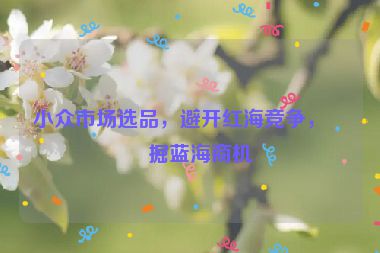 小眾市場選品，避開紅海競爭，挖掘藍海商機