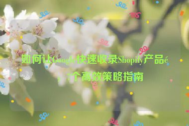 如何讓Google快速收錄Shopify產(chǎn)品頁，7個(gè)高效策略指南