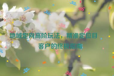 地域定向高階玩法，精準(zhǔn)定位目標(biāo)客戶的終極指南