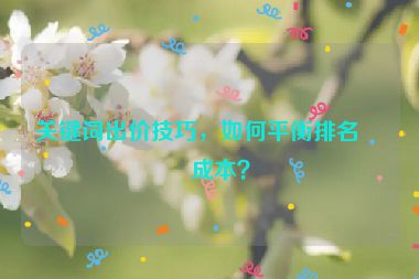 關鍵詞出價技巧，如何平衡排名和成本？