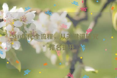 SEO優(yōu)化全流程，從關鍵詞研究到排名提升
