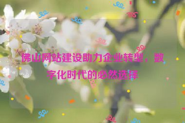 佛山網(wǎng)站建設(shè)助力企業(yè)轉(zhuǎn)型，數(shù)字化時(shí)代的必然選擇