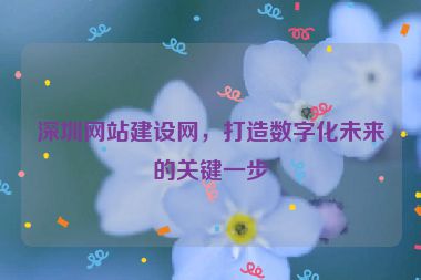 深圳網(wǎng)站建設(shè)網(wǎng)，打造數(shù)字化未來的關(guān)鍵一步