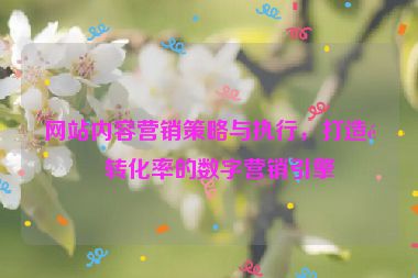 網(wǎng)站內(nèi)容營銷策略與執(zhí)行，打造高轉(zhuǎn)化率的數(shù)字營銷引擎