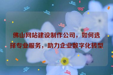 佛山網(wǎng)站建設(shè)制作公司，如何選擇專業(yè)服務(wù)，助力企業(yè)數(shù)字化轉(zhuǎn)型