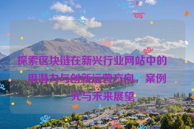探索區(qū)塊鏈在新興行業(yè)網(wǎng)站中的應(yīng)用潛力與創(chuàng)新運(yùn)營方向，案例研究與未來展望