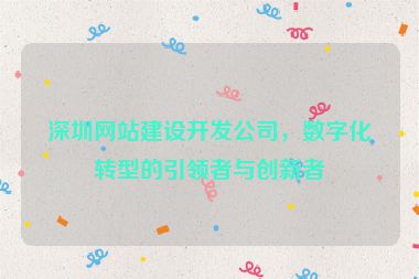 深圳網(wǎng)站建設(shè)開(kāi)發(fā)公司，數(shù)字化轉(zhuǎn)型的引領(lǐng)者與創(chuàng)新者