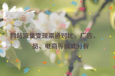 網(wǎng)站流量變現(xiàn)渠道對比，廣告、會員、電商等模式分析