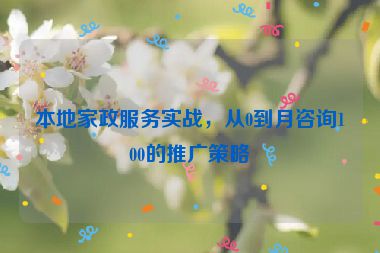 本地家政服務(wù)實戰(zhàn)，從0到月咨詢100的推廣策略