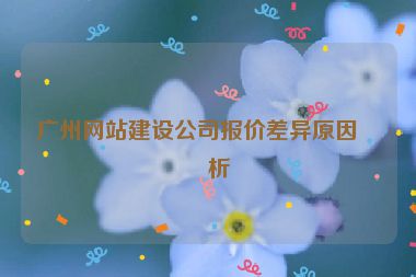廣州網(wǎng)站建設(shè)公司報(bào)價(jià)差異原因分析