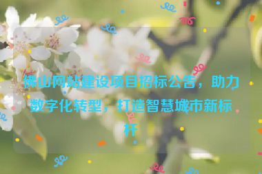 佛山網(wǎng)站建設(shè)項目招標公告，助力數(shù)字化轉(zhuǎn)型，打造智慧城市新標桿