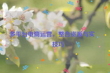 多平臺(tái)電商運(yùn)營，整合資源與實(shí)戰(zhàn)技巧