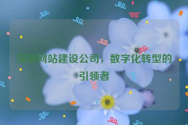 深圳網(wǎng)站建設(shè)公司，數(shù)字化轉(zhuǎn)型的引領(lǐng)者