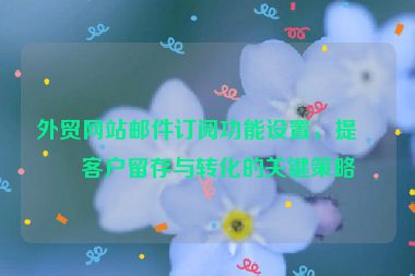 外貿(mào)網(wǎng)站郵件訂閱功能設(shè)置，提升客戶留存與轉(zhuǎn)化的關(guān)鍵策略