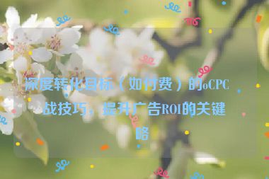 深度轉(zhuǎn)化目標(biāo)（如付費）的oCPC實戰(zhàn)技巧，提升廣告ROI的關(guān)鍵策略