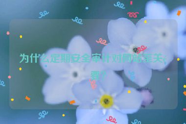 為什么定期安全審計(jì)對網(wǎng)站至關(guān)重要？