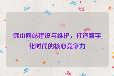 佛山網(wǎng)站建設(shè)與維護(hù)，打造數(shù)字化時代的核心競爭力