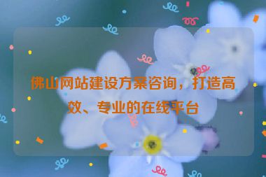 佛山網(wǎng)站建設(shè)方案咨詢，打造高效、專業(yè)的在線平臺
