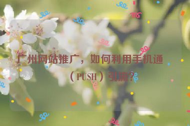 廣州網(wǎng)站推廣，如何利用手機(jī)通知（PUSH）引流？