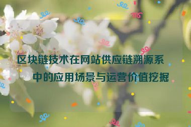 區(qū)塊鏈技術(shù)在網(wǎng)站供應(yīng)鏈溯源系統(tǒng)中的應(yīng)用場景與運(yùn)營價(jià)值挖掘