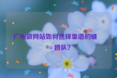廣州做網(wǎng)站如何選擇靠譜的維護團隊？