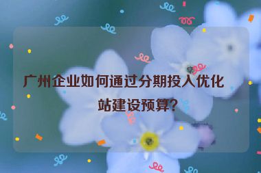廣州企業(yè)如何通過分期投入優(yōu)化網(wǎng)站建設(shè)預(yù)算？