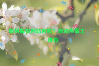 如何監(jiān)控網(wǎng)站宕機(jī)？自動告警工具推薦