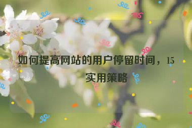 如何提高網(wǎng)站的用戶停留時(shí)間，15個(gè)實(shí)用策略