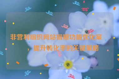 非營利組織網(wǎng)站捐贈功能優(yōu)化案例，提升轉(zhuǎn)化率的關(guān)鍵策略