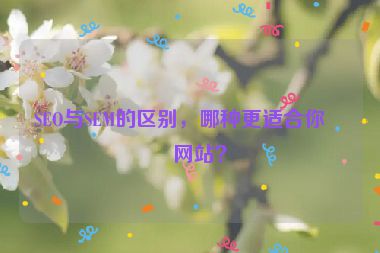 SEO與SEM的區(qū)別，哪種更適合你的網(wǎng)站？