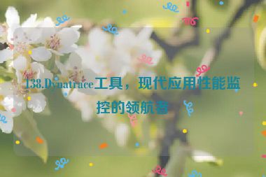 138.Dynatrace工具，現(xiàn)代應(yīng)用性能監(jiān)控的領(lǐng)航者
