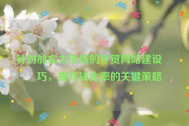針對(duì)加拿大市場(chǎng)的外貿(mào)網(wǎng)站建設(shè)技巧，提升轉(zhuǎn)化率的關(guān)鍵策略