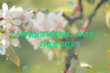 個(gè)人網(wǎng)站運(yùn)營案例剖析，成功之路的借鑒與啟示
