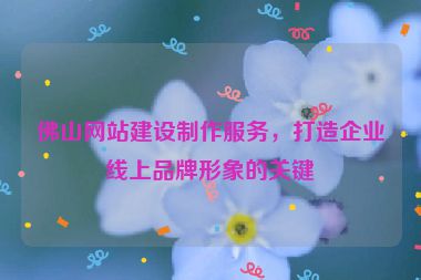 佛山網(wǎng)站建設(shè)制作服務(wù)，打造企業(yè)線上品牌形象的關(guān)鍵