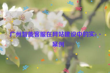 廣州智能客服在網(wǎng)站建設(shè)中的實(shí)踐案例