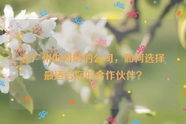 在廣州做網(wǎng)站的公司，如何選擇最適合您的合作伙伴？