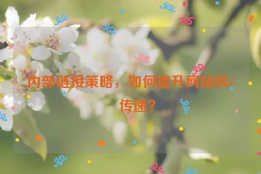 內(nèi)部鏈接策略，如何提升網(wǎng)站權(quán)重傳遞？