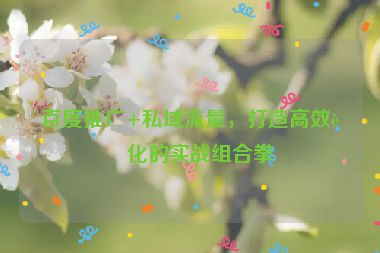 百度推廣+私域流量，打造高效轉(zhuǎn)化的實(shí)戰(zhàn)組合拳