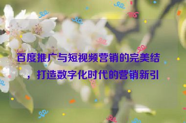 百度推廣與短視頻營銷的完美結(jié)合，打造數(shù)字化時代的營銷新引擎