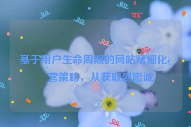 基于用戶生命周期的網(wǎng)站精細(xì)化運(yùn)營(yíng)策略，從獲取到忠誠(chéng)
