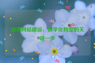 深圳網(wǎng)站建設(shè)，數(shù)字化轉(zhuǎn)型的關(guān)鍵一步