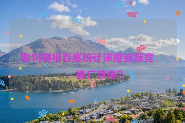如何利用百度統(tǒng)計深度追蹤競價推廣效果？